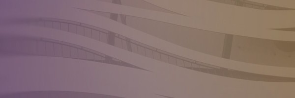 Team banner